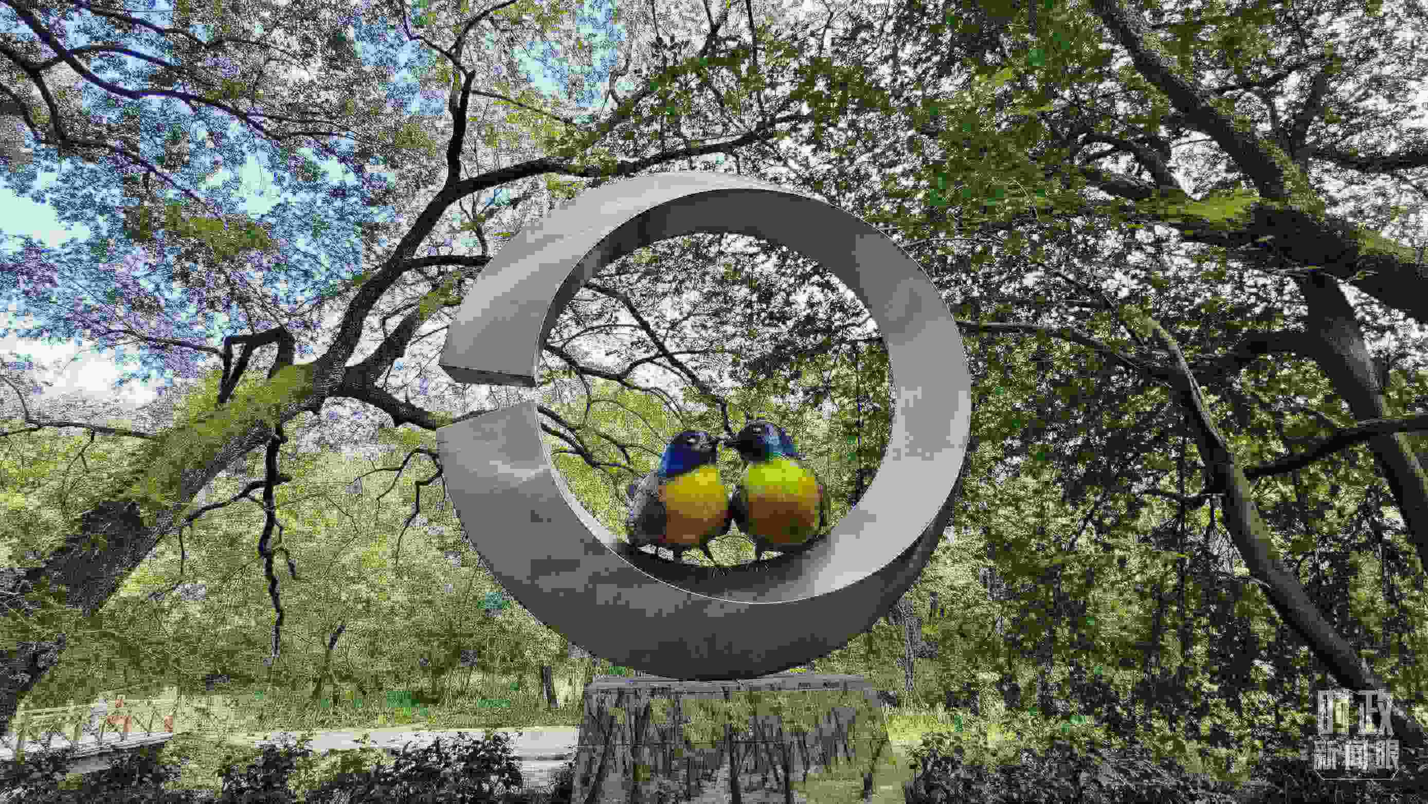 △石門村里的藍(lán)冠噪鹛雕像。（總臺(tái)央視記者許永松拍攝）