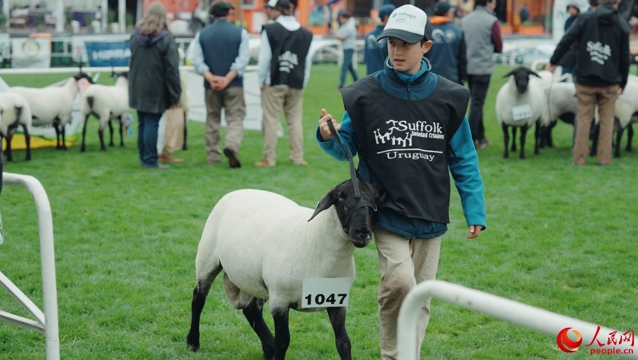 烏拉圭第118屆普拉多牧農(nóng)業(yè)國際博覽會(huì)現(xiàn)場。人民網(wǎng)記者 張若涵攝