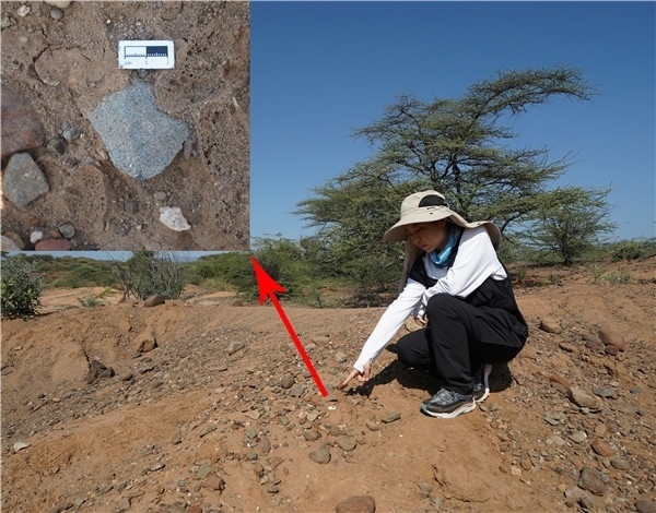 地層中的勒瓦婁哇石片。中肯聯(lián)合考古隊供圖