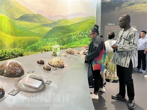  （在中國藥都中醫(yī)藥博物館，外媒記者了解中醫(yī)藥發(fā)展史。中國經(jīng)濟(jì)周刊記者 郭志強(qiáng) 攝）