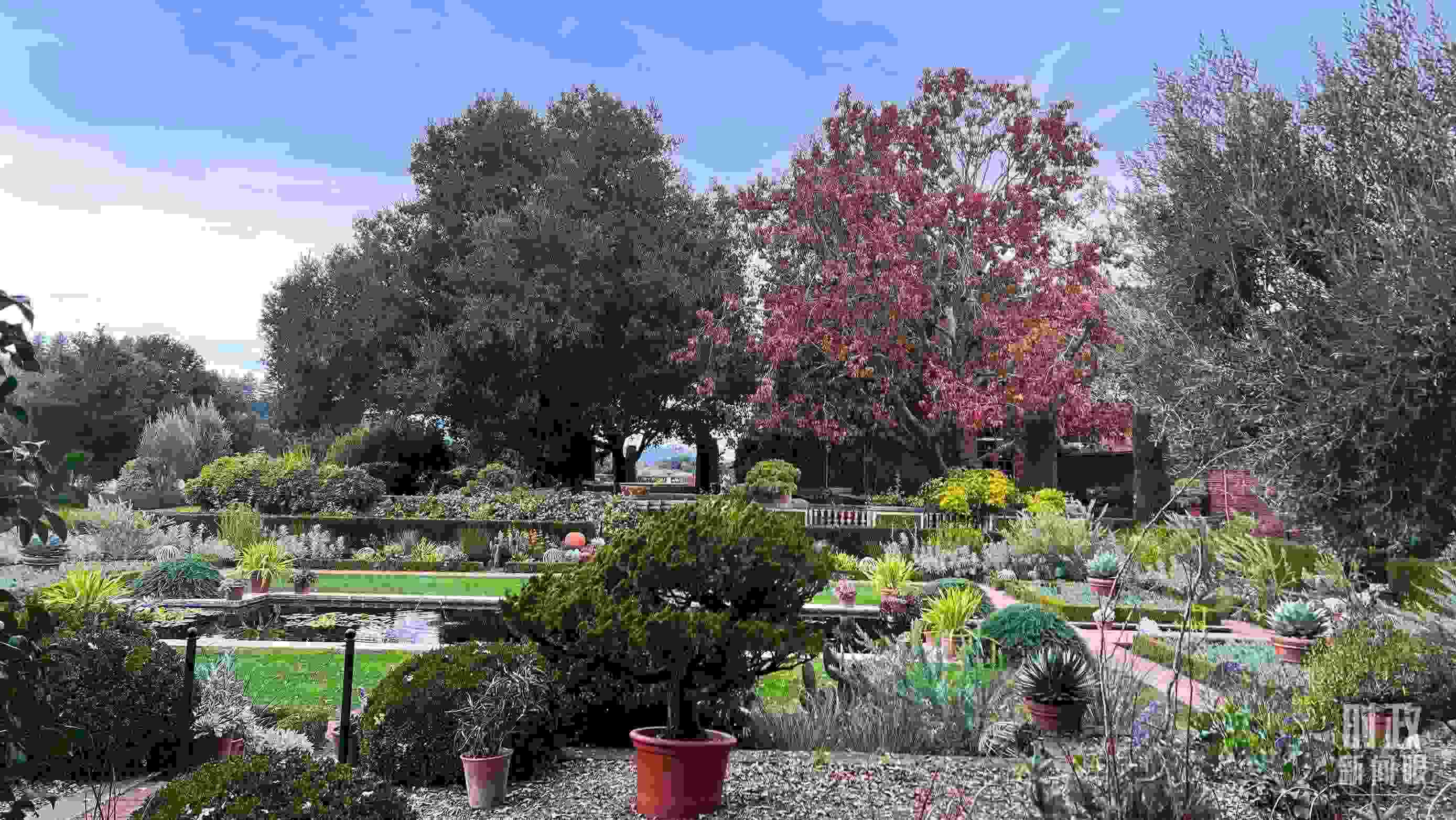 斐洛里莊園被稱作美國20世紀現(xiàn)存最精美鄉(xiāng)村莊園之一。（總臺央視記者程鋮拍攝）