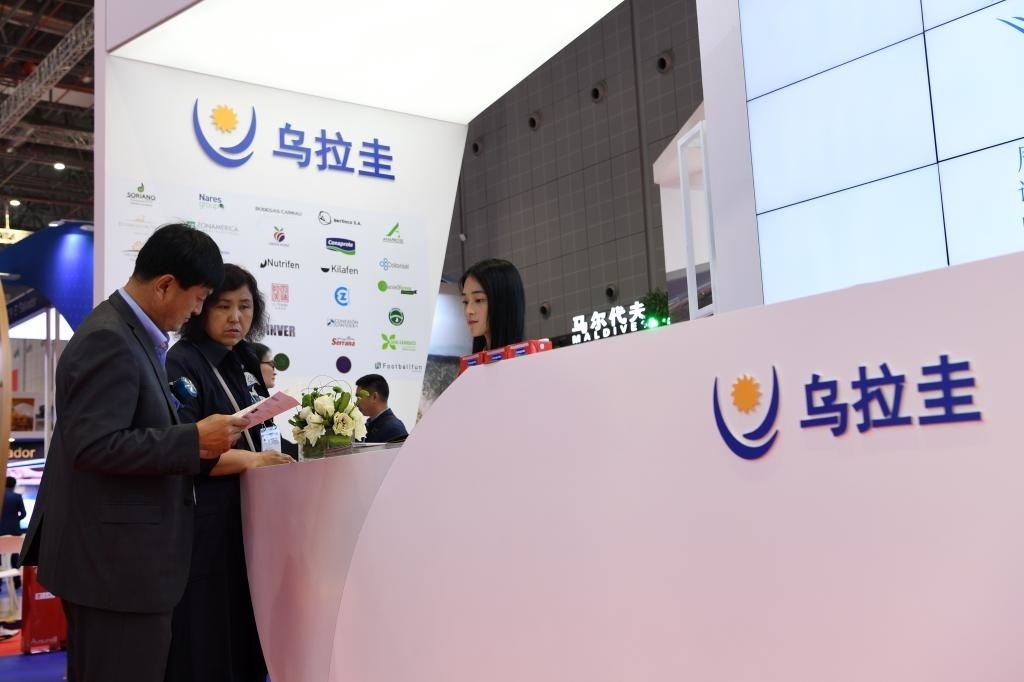 2019年11月6日，參觀者在第二屆進博會烏拉圭國家館展臺咨詢。