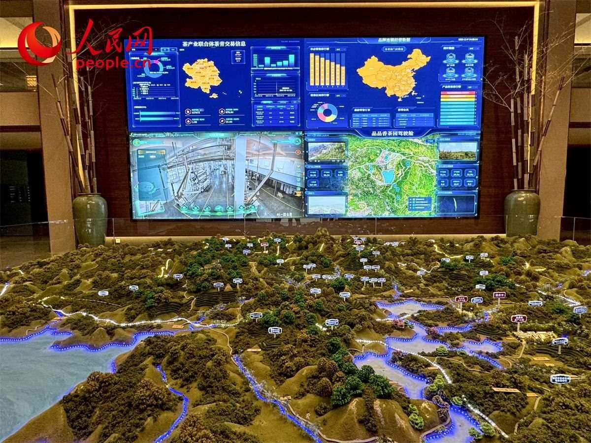 品品香白茶產(chǎn)業(yè)園信息中心數(shù)智化大屏。人民網(wǎng)記者 劉微攝