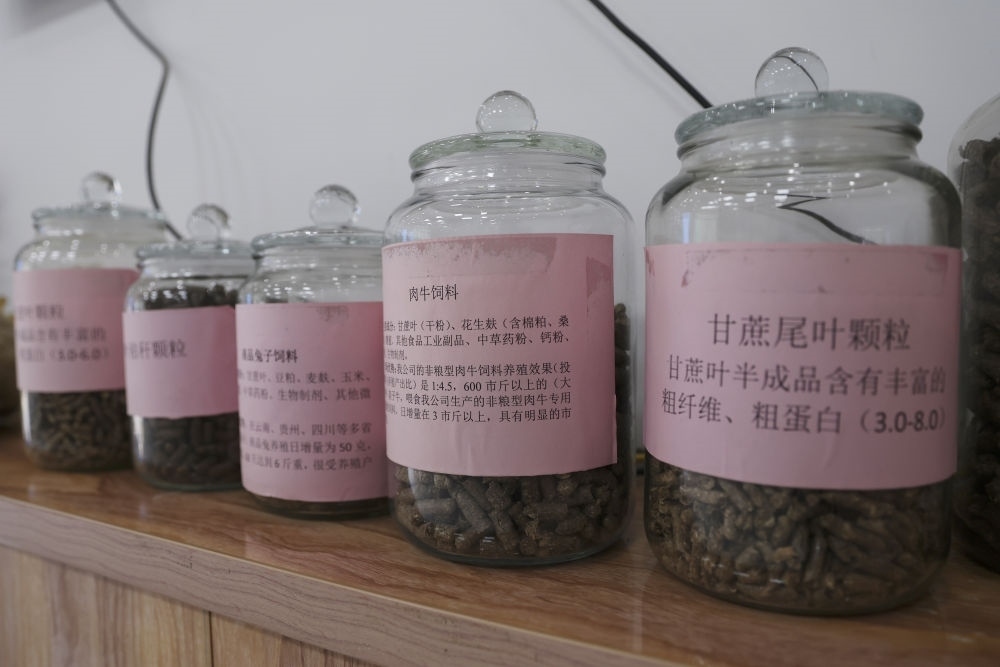 這是12月13日在來賓市興賓區(qū)小平陽鎮(zhèn)一家飼料廠拍攝的以甘蔗尾葉為原料制成的飼料。