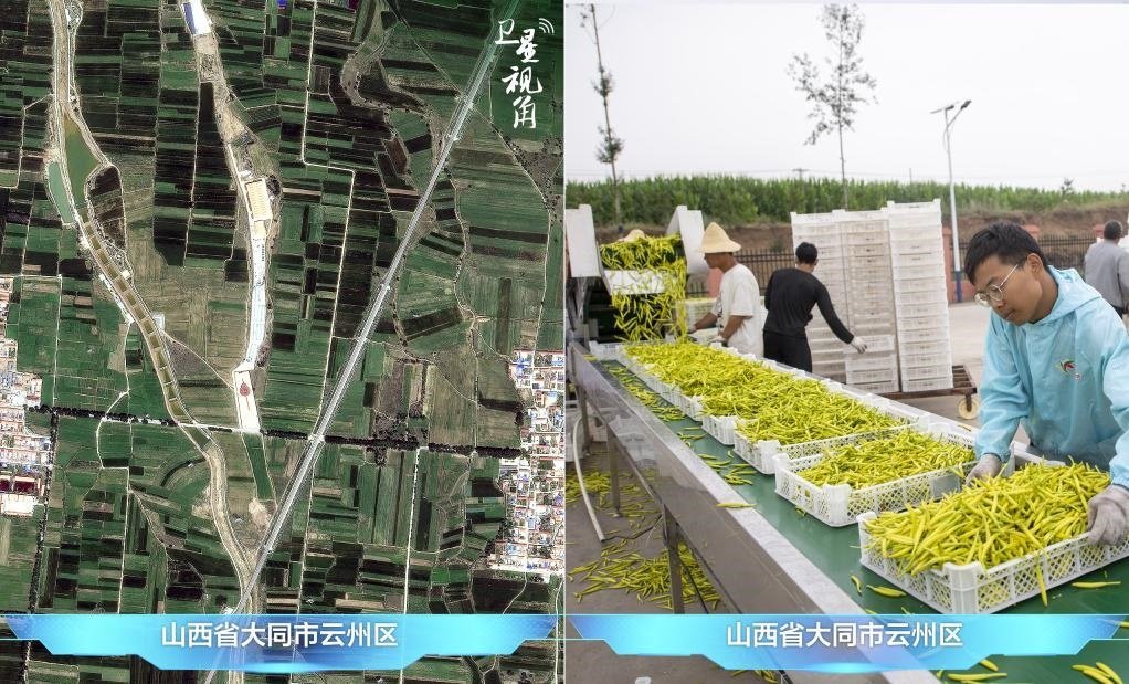 當(dāng)前，大同市開(kāi)發(fā)黃花菜品、食品、飲品、功能食品、化妝品、文創(chuàng)產(chǎn)品六大系列130余種，全產(chǎn)業(yè)鏈產(chǎn)值超40億元。