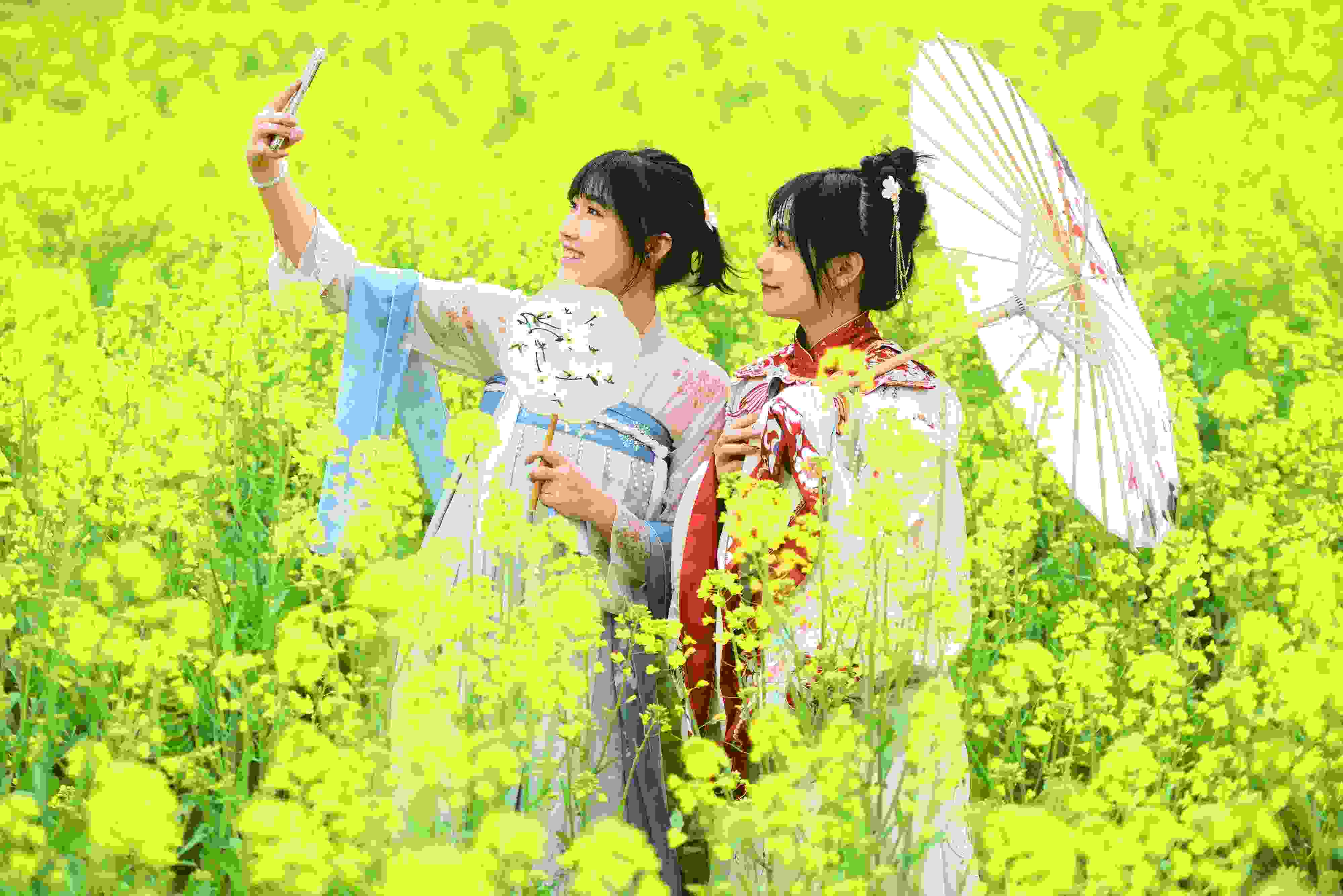 △ 2024年2月16日，廣西賀州，在富川瑤族自治縣麥嶺鎮(zhèn)三民村，游客在油菜花田間賞花拍照。