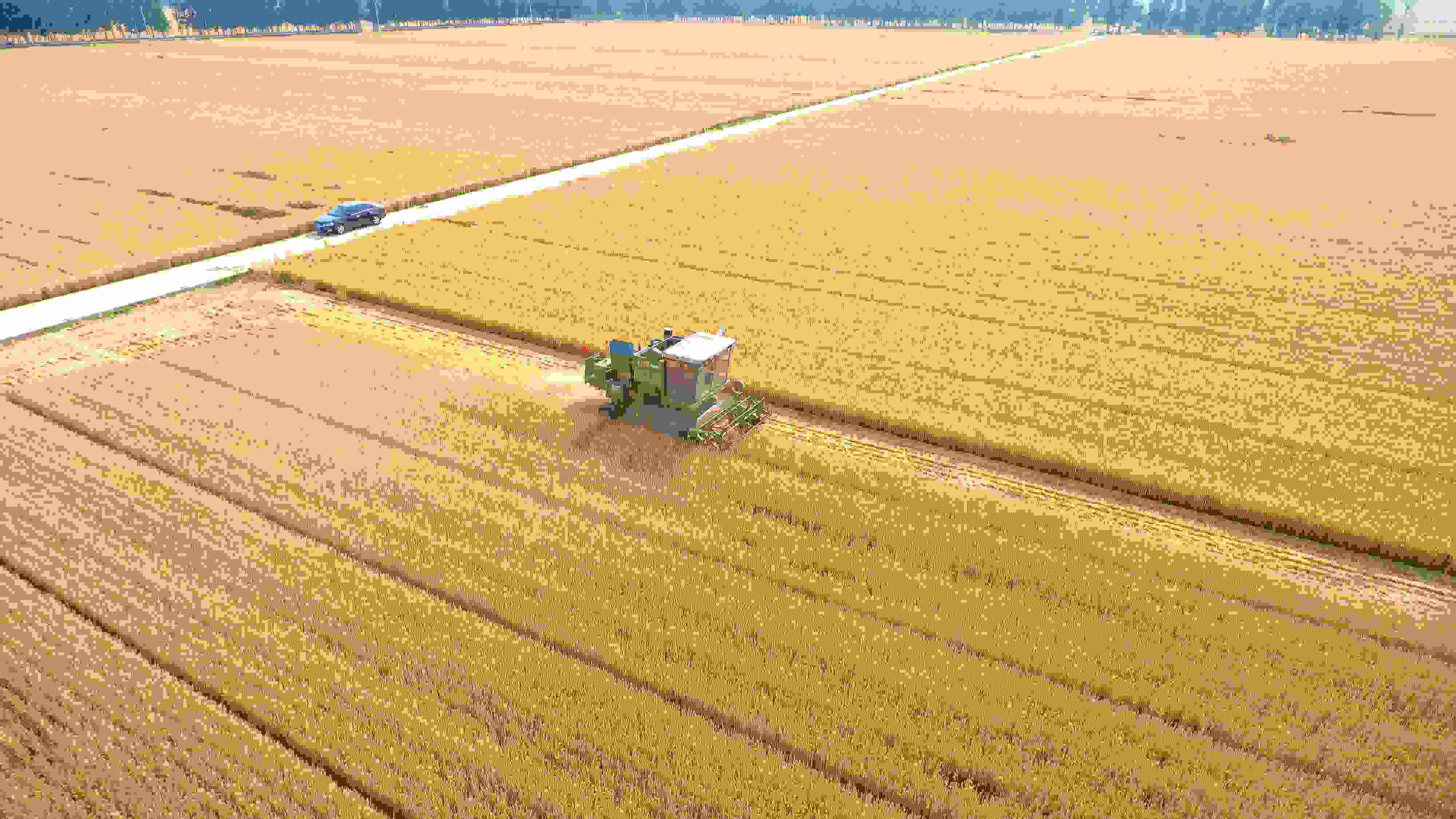 △ 2023年6月5日，山東聊城茌平區(qū)賈寨鎮(zhèn)王藥包村，收割機(jī)在田間進(jìn)行小麥?zhǔn)崭钭鳂I(yè)。