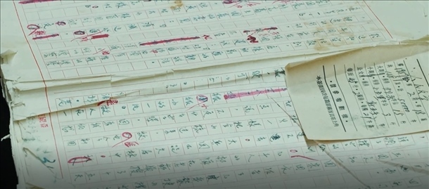 曲波《林海雪原》手稿。主辦方供圖