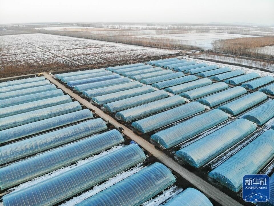 新華全媒+｜“大糧倉”黑龍江春耕備耕火熱進行