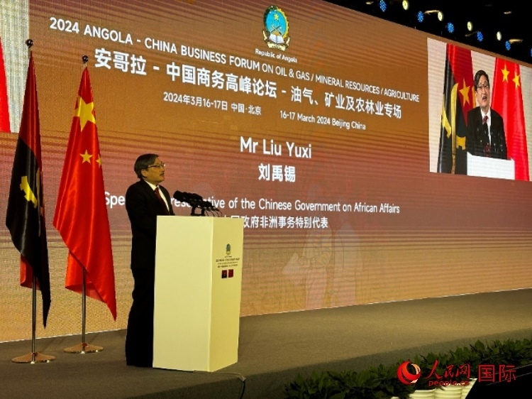 中國(guó)政府非洲事務(wù)特別代表劉禹錫。人民網(wǎng)記者 張榮攝