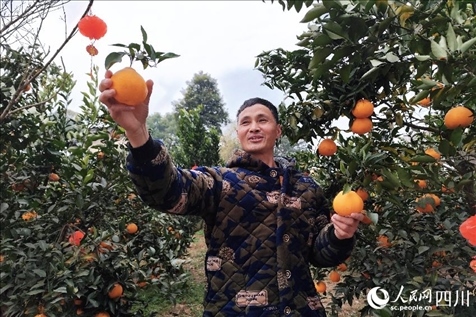 鐵牛村村民趙光進(jìn)。人民網(wǎng)記者 朱虹攝