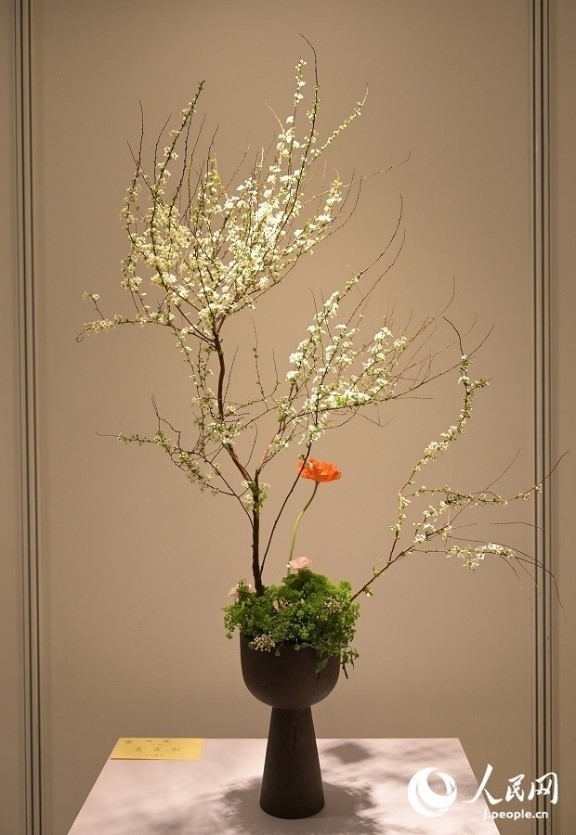 插花作品。人民網(wǎng) 玄番登史江攝