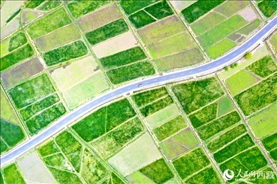 無(wú)人機(jī)視角下的西藏山南市瓊結(jié)農(nóng)田。人民網(wǎng)記者 次仁羅布攝