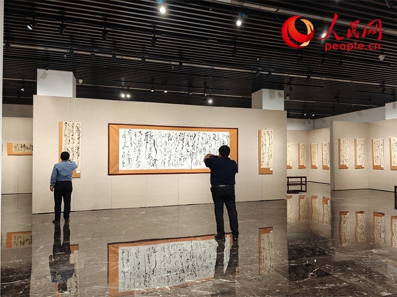 觀眾正在參觀展覽。人民網(wǎng)記者 韋衍行攝