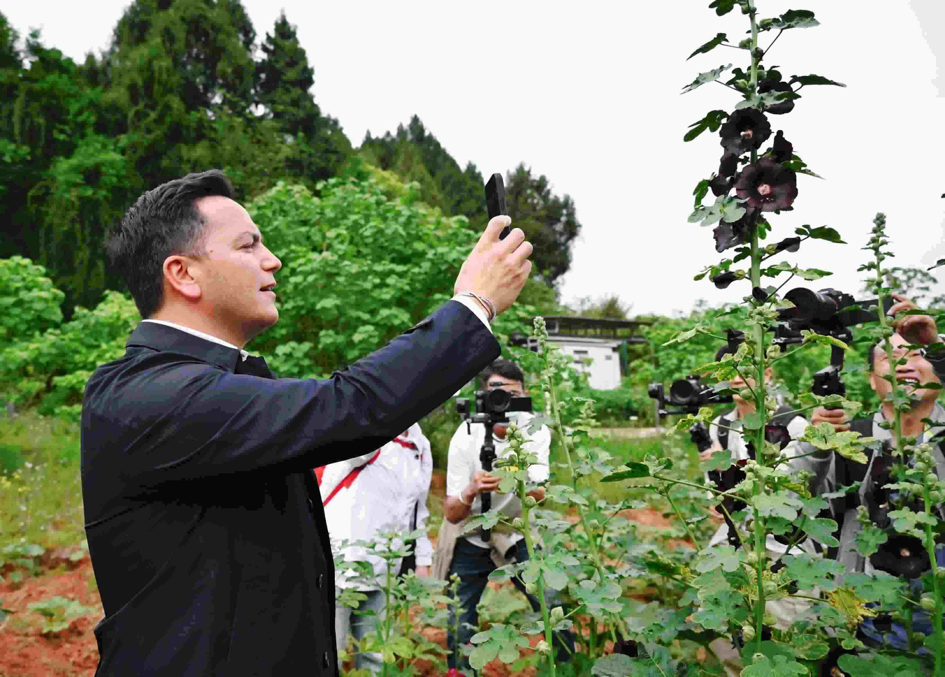  △2024年4月23日，國際園藝生產(chǎn)者協(xié)會主席萊昂納多·卡皮塔尼奧在成都市金堂縣鮮花山谷景區(qū)考察蜀葵產(chǎn)業(yè)。
