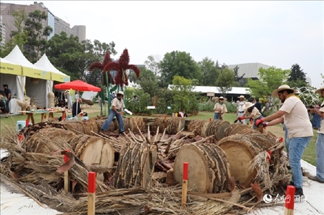 坎波·馬特活動(dòng)現(xiàn)場(chǎng)。埃內(nèi)斯托·多明戈斯攝