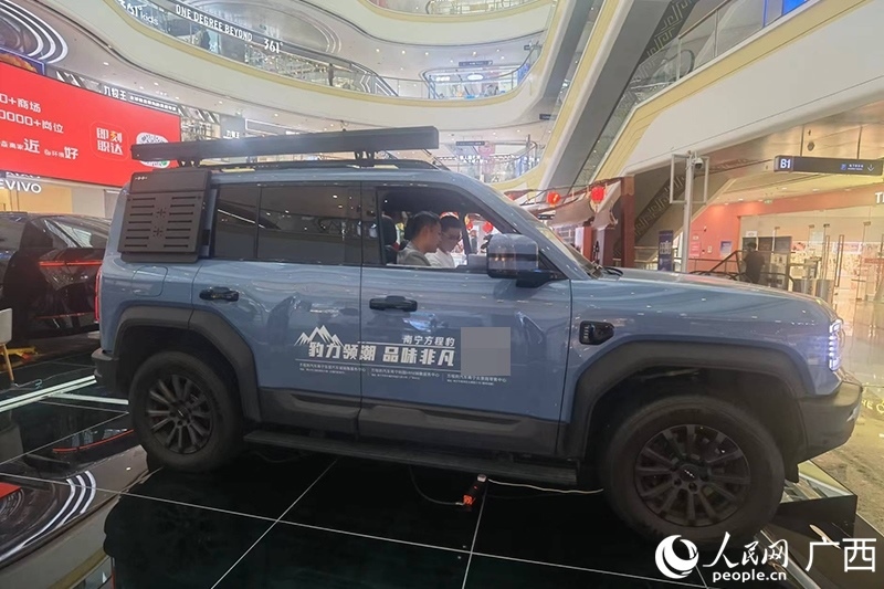 消費(fèi)者在商場(chǎng)選購(gòu)汽車。人民網(wǎng)記者 陳燕攝