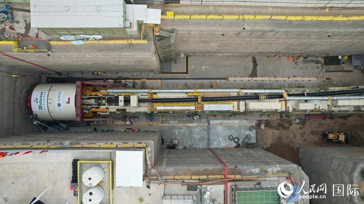 質(zhì)構(gòu)機(jī)全景。陳露明攝