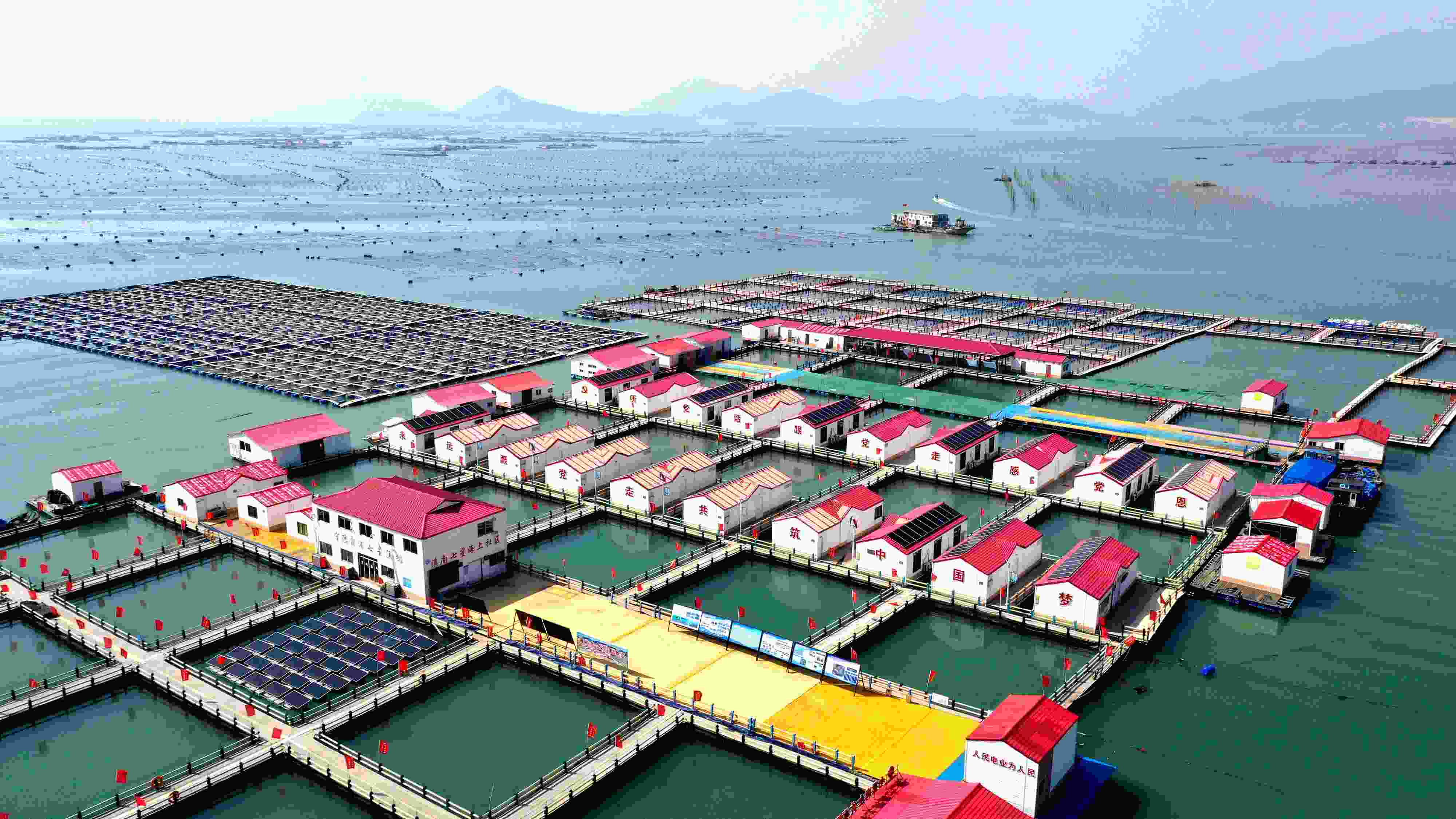 2024年3月20日，福建省寧德市，霞浦縣溪南鎮(zhèn)七星村漁排養(yǎng)殖示范區(qū)，漁民駕駛養(yǎng)殖船進(jìn)行海參養(yǎng)殖作業(yè)。