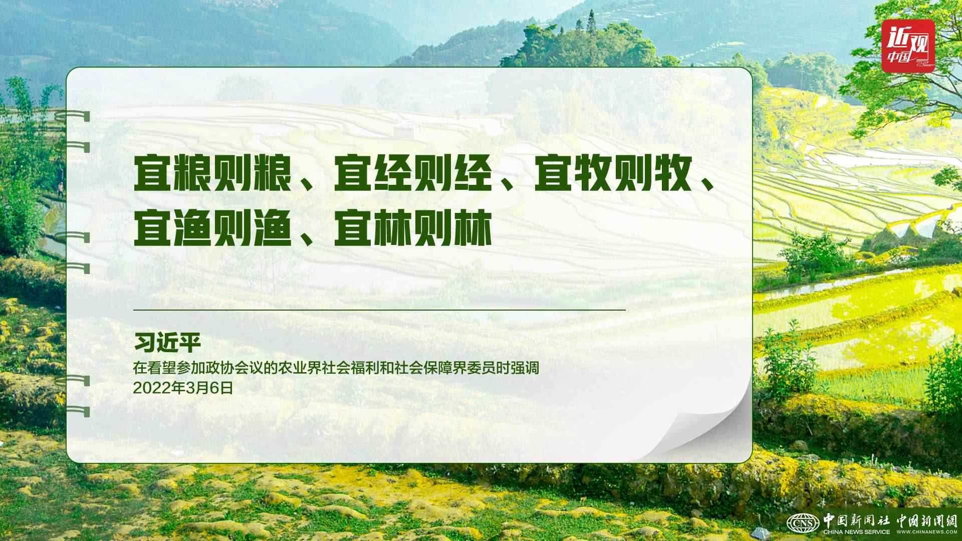 習近平：樹立大食物觀，構建多元化食物供給體系