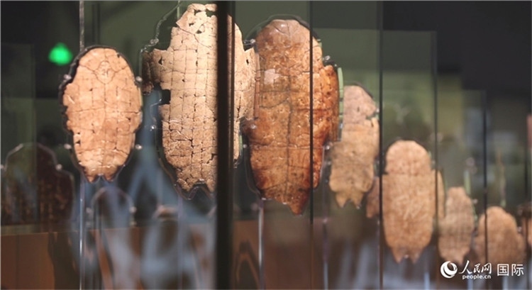 殷墟博物館新館的甲骨展品。人民網(wǎng)記者 劉寧攝