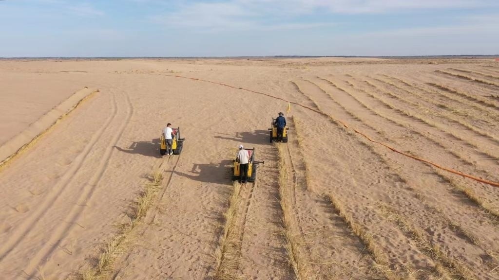 內(nèi)蒙古巴彥淖爾市烏拉特后旗西補(bǔ)隆林業(yè)管護(hù)中心職工駕駛機(jī)械鋪設(shè)壓沙障。新華社記者 李云平 攝