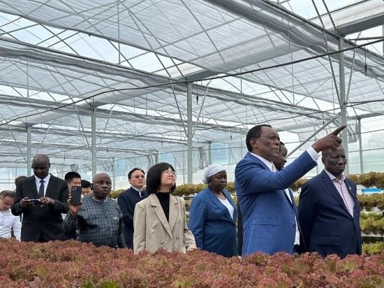 使節(jié)團(tuán)考察貴州省清鎮(zhèn)駱家橋蔬菜保供基地的無(wú)土栽培溫室。新華社記者 袁睿 攝