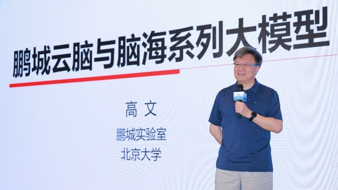 高文院士做大會特邀報告。主辦方供圖