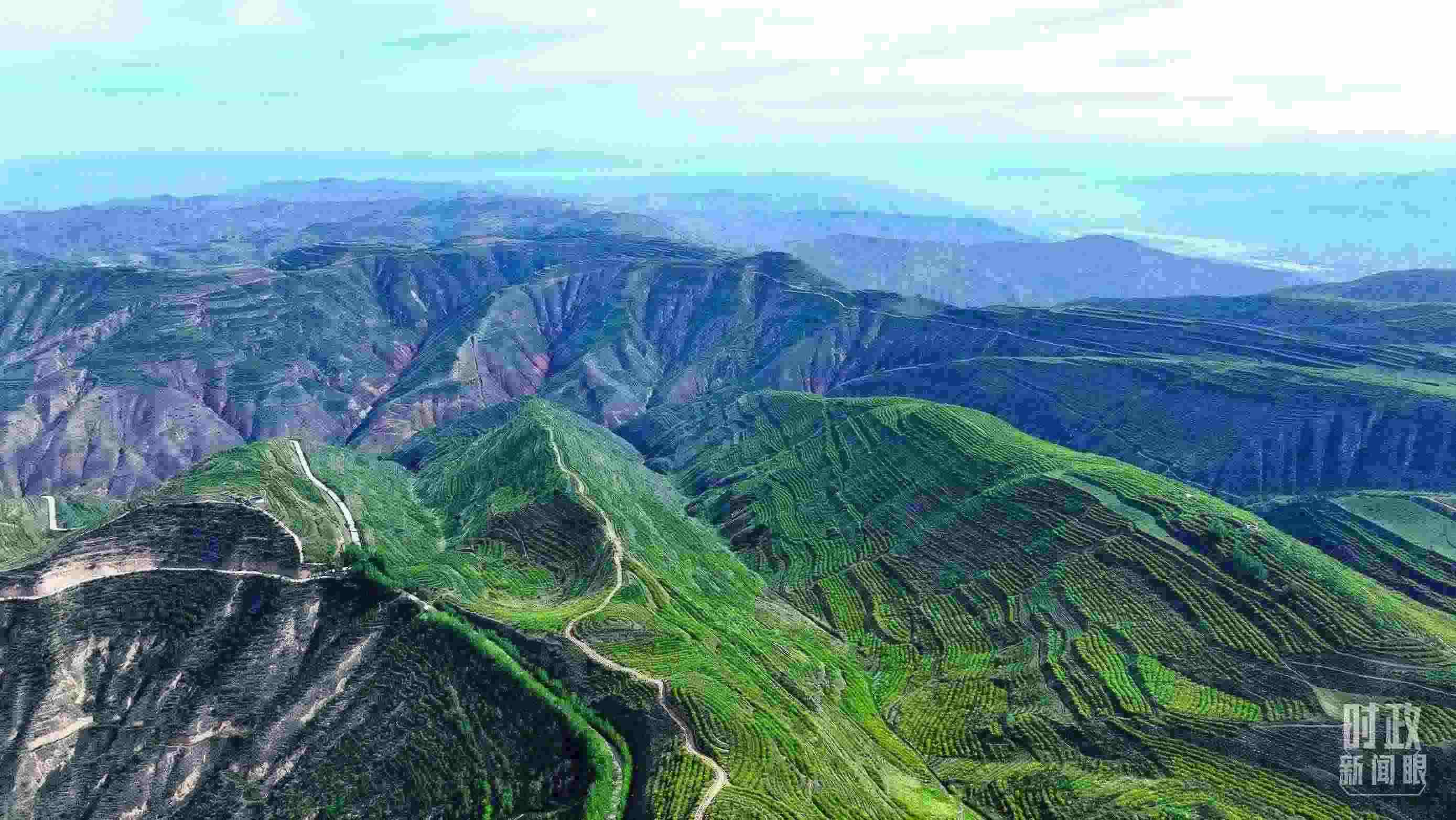 △青海西寧。（總臺記者柳成拍攝）