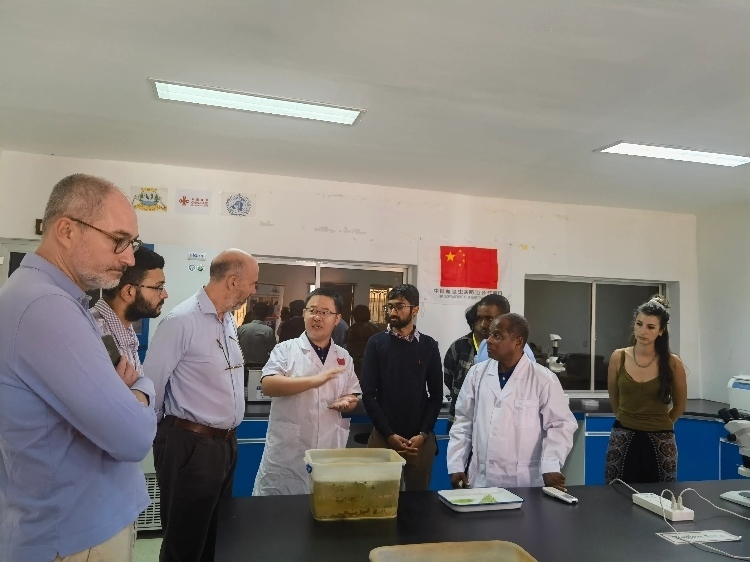 活動現場。專家組供圖