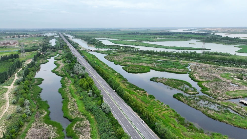這是2024年6月13日拍攝的黃河寧夏段濱河大道（無人機(jī)照片）。近年來，寧夏努力建設(shè)黃河流域生態(tài)保護(hù)和高質(zhì)量發(fā)展先行區(qū)，全力打好黃河保護(hù)持久戰(zhàn)。新華社記者 王鵬 攝