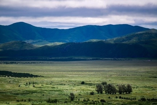 2023年8月4日拍攝的大興安嶺南麓內(nèi)蒙古罕山國(guó)家級(jí)自然保護(hù)區(qū)風(fēng)光。新華社記者 連振 攝