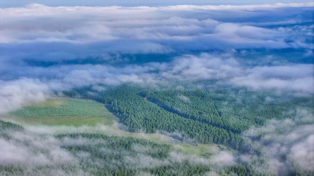 2024年7月26日拍攝的塞罕壩國(guó)家級(jí)自然保護(hù)區(qū)景色。新華社發(fā)（劉滿倉(cāng) 攝）