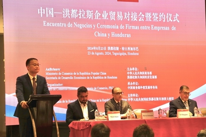 中國(guó)商務(wù)部外貿(mào)司司長(zhǎng)李興乾發(fā)表講話。埃內(nèi)斯托·多明戈斯攝