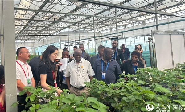 研討班成員在大棚中了解植物種植技術(shù)。人民網(wǎng) 曹欣悅攝