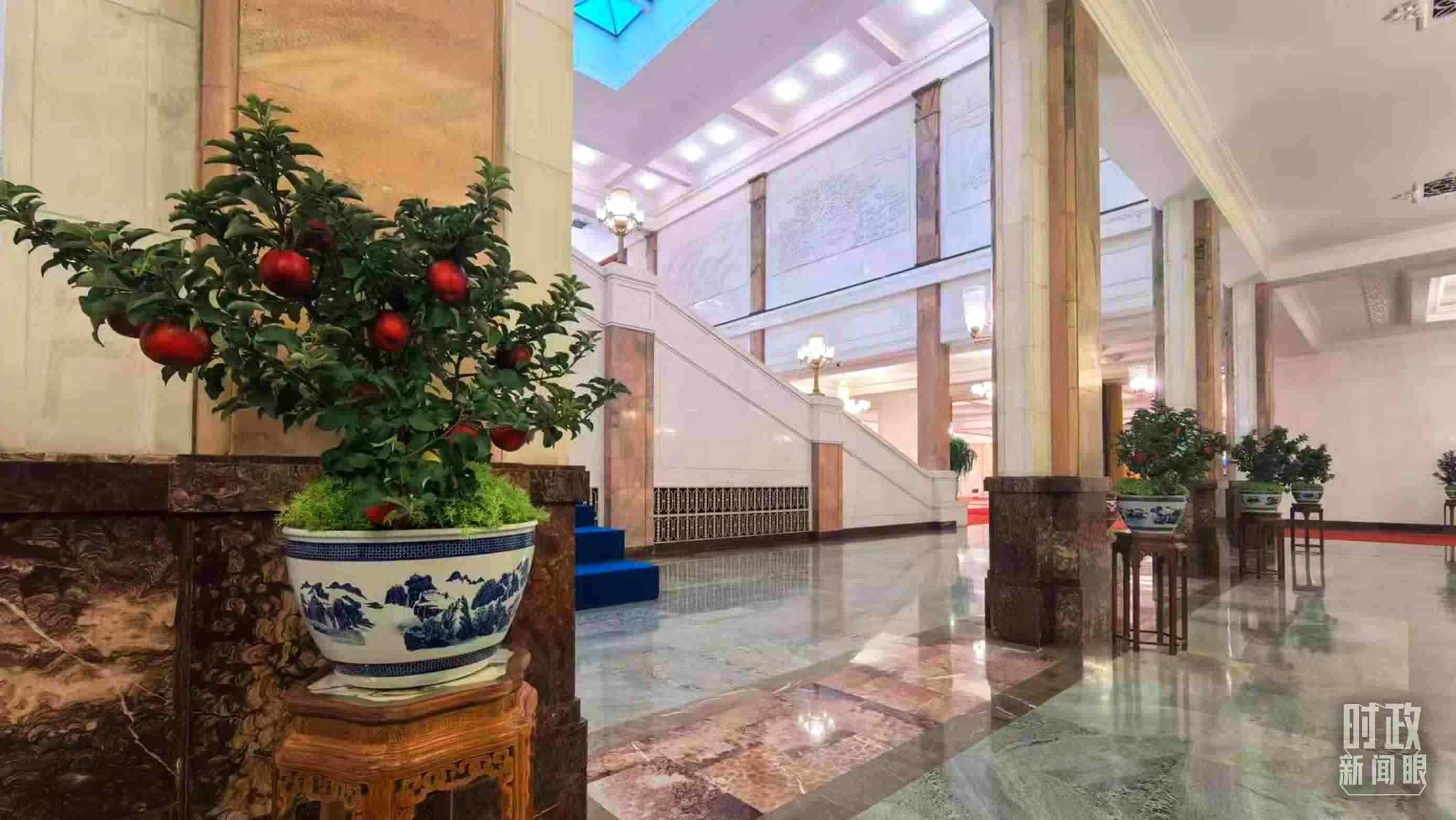  △大會(huì)堂內(nèi)的“碩果累累”盆栽。（總臺(tái)國廣記者吳倩拍攝）