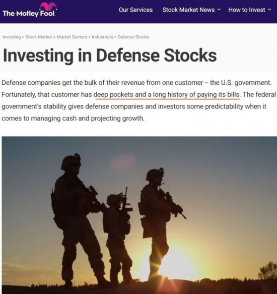 美國“傻瓜投資指南”公司網(wǎng)站文章截圖