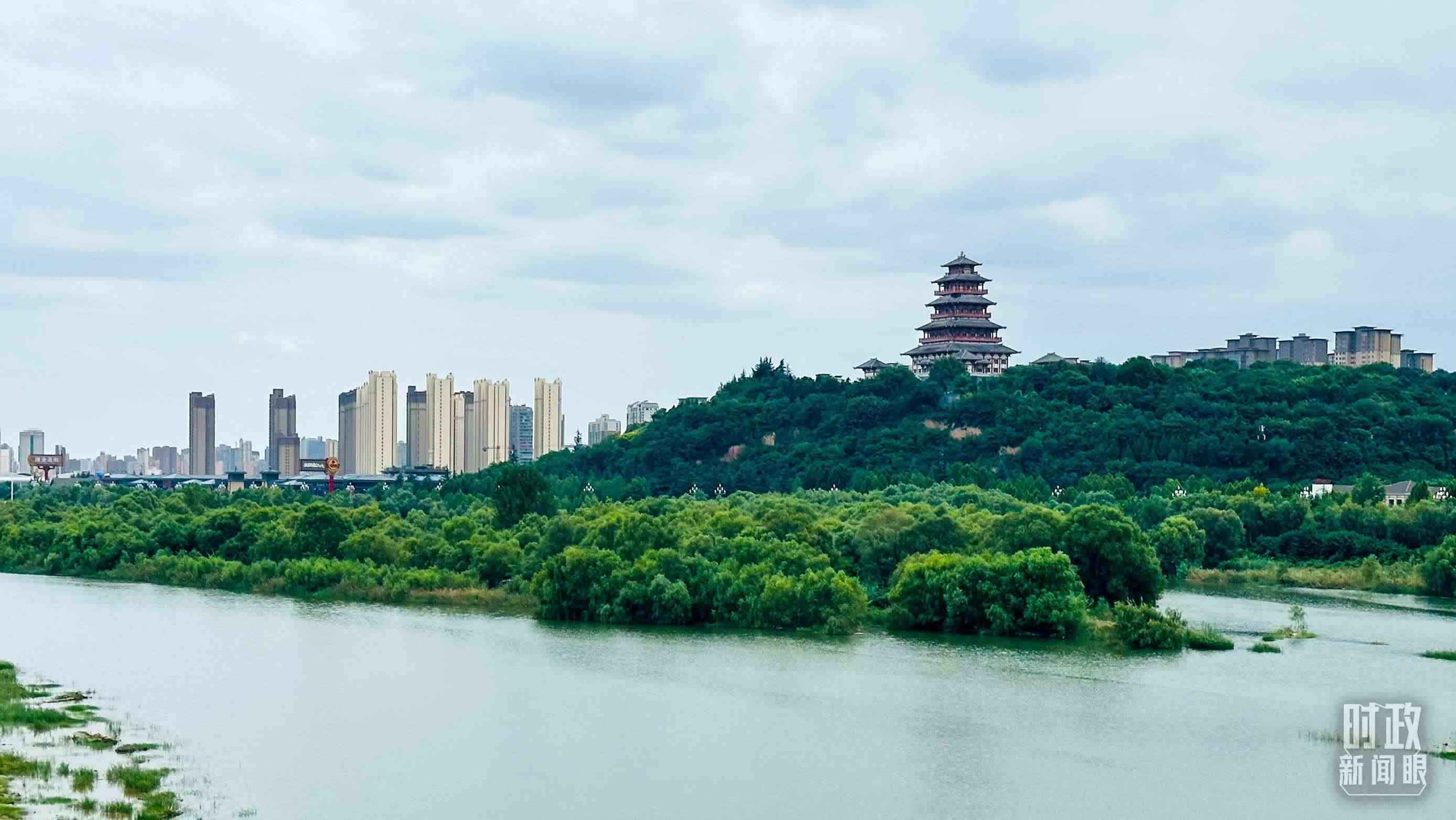 △黃河的第一大支流——渭河。（總臺央視記者范一鳴拍攝）