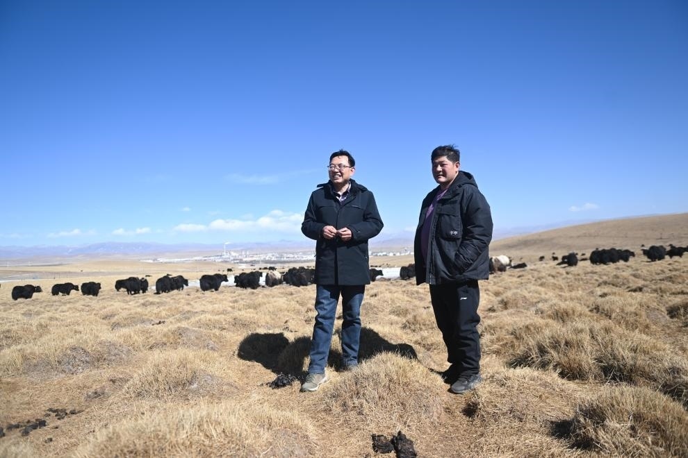 2023年2月24日，在青海省海北藏族自治州海晏縣青海湖鄉(xiāng)達玉日秀村，全國人大代表董全民（左）查看牧民東知布家的草場。新華社記者 張龍 攝