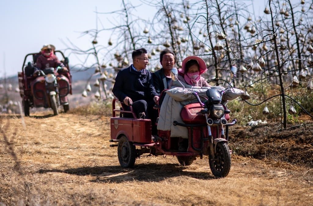全國人大代表袁海波（右三）在云南省曲靖市馬龍區(qū)一種植基地了解務工人員就業(yè)需求（2023年2月11日攝）。新華社記者 江文耀 攝