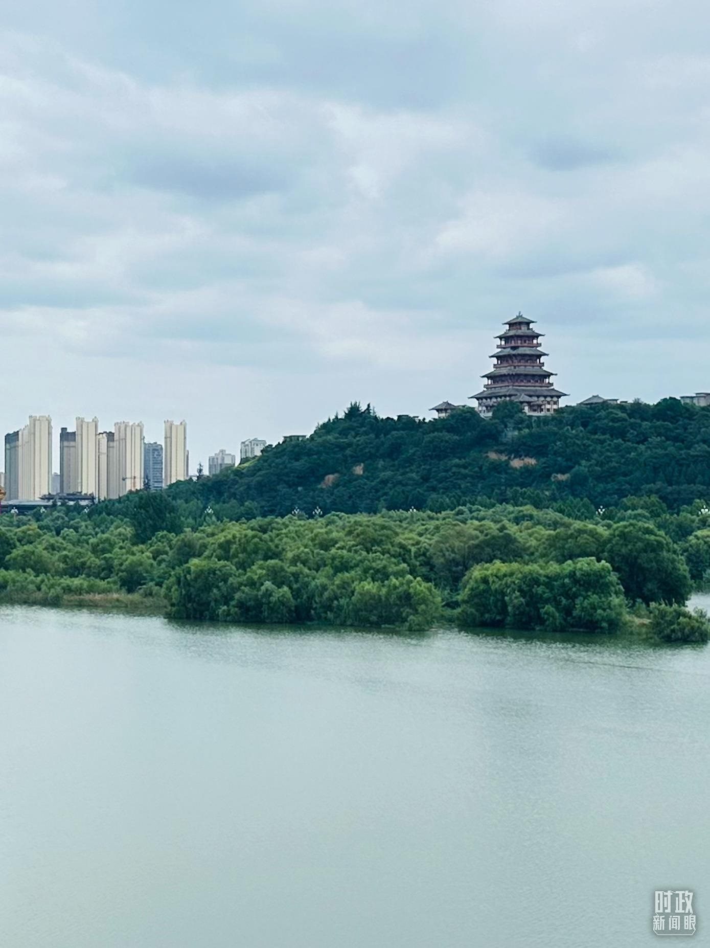 △渭河寶雞段長(zhǎng)224公里，目前建成17處渭河灘區(qū)生態(tài)涵養(yǎng)區(qū)。（總臺(tái)央視記者范一鳴拍攝）