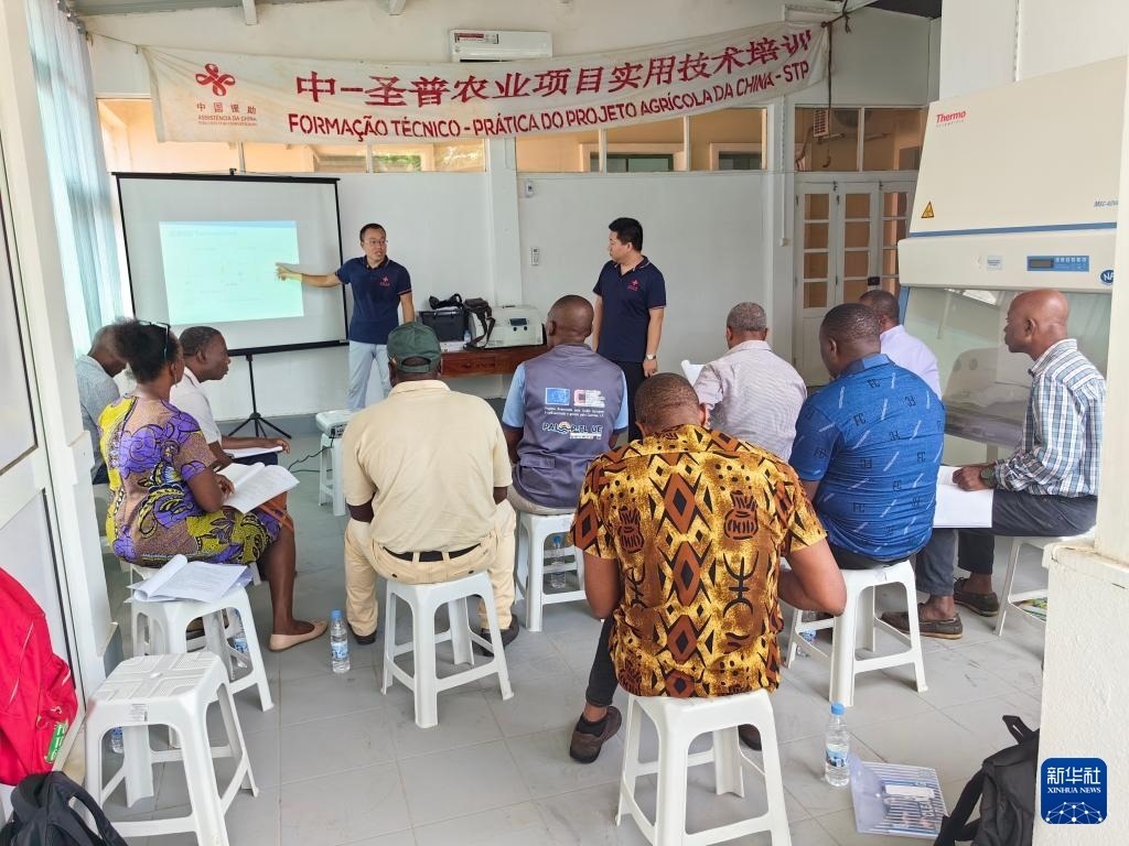 中國援圣普農(nóng)牧業(yè)技術(shù)項目組專家段振華（后左）在圣多美和普林西比的國家獸醫(yī)實驗室開展動物疫病監(jiān)測技術(shù)培訓（2024年6月21日攝）。新華社發(fā)（中國援圣普農(nóng)技組供圖）