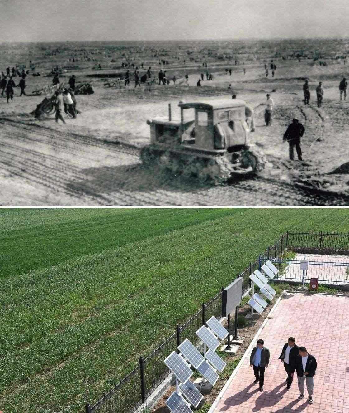上圖為二十世紀(jì)六十年代蘭考改造鹽堿地的情景（資料照片）；下圖為2024年4月18日拍攝的蘭考縣紅廟鎮(zhèn)高標(biāo)準(zhǔn)農(nóng)田示范區(qū)。（新華社記者 朱祥 攝）