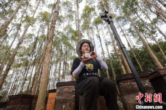 吳素英在網(wǎng)絡(luò)平臺(tái)直播介紹蜜蜂和養(yǎng)蜂情況。湯曉逵 攝