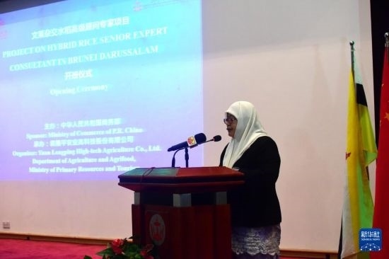 10月26日，文萊初級(jí)資源與旅游部常任秘書(shū)圖蒂亞蒂在斯里巴加灣市出席中國(guó)與文萊雜交水稻高級(jí)專(zhuān)家顧問(wèn)項(xiàng)目啟動(dòng)儀式。新華社記者 李萌 攝