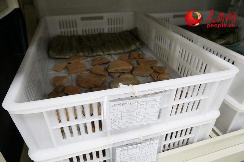 已經(jīng)整理完畢的文物標(biāo)本。人民網(wǎng)記者 韋衍行攝