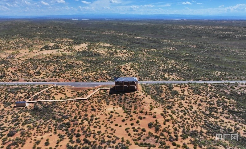 古浪縣一代代人治沙不息，讓綠色向沙漠深處不斷延伸（央廣網(wǎng)記者 李紅軍 攝）