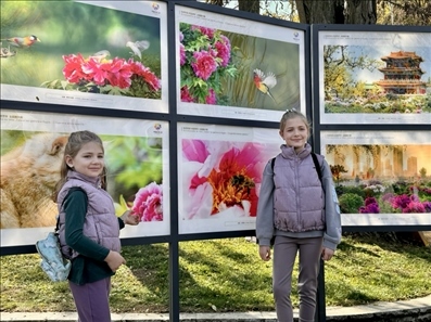 活動(dòng)現(xiàn)場。中國駐保加利亞大使館供圖。