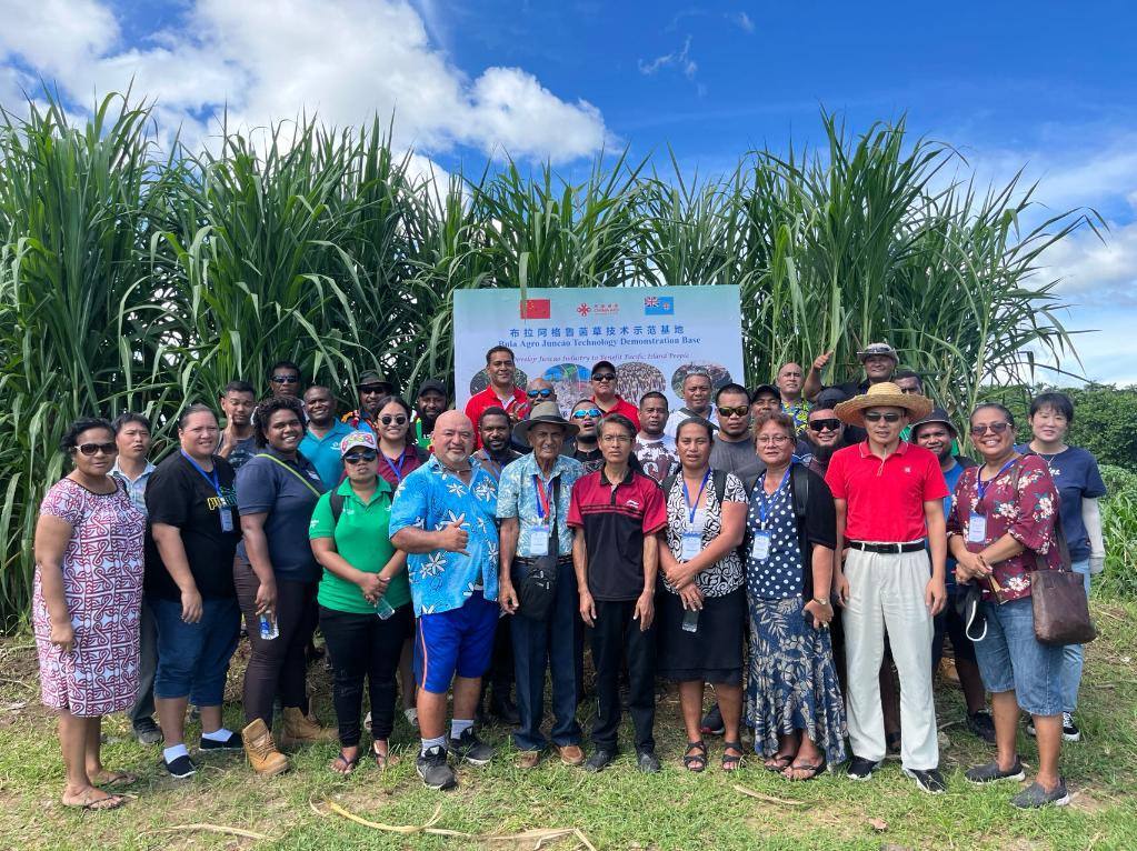 2024年2月28日，來自巴布亞新幾內(nèi)亞、湯加、庫克群島、薩摩亞、瑙魯?shù)葒业摹疤窖髰u國菌草技術(shù)培訓(xùn)班”學(xué)員在斐濟(jì)布拉阿格魯菌草技術(shù)示范基地合影。新華社發(fā)（中國援斐濟(jì)菌草技術(shù)示范中心供圖）