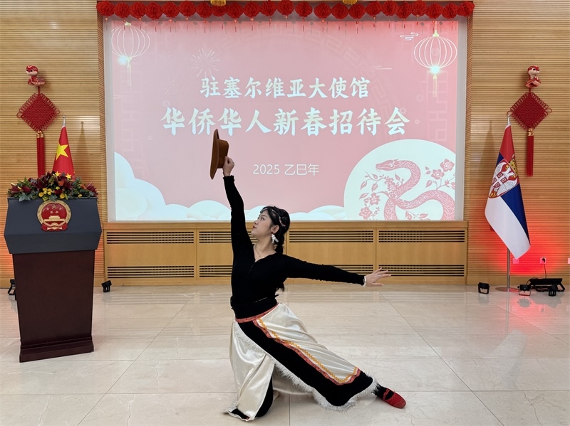 招待會(huì)現(xiàn)場(chǎng)表演。諾維薩德孔子學(xué)院供圖